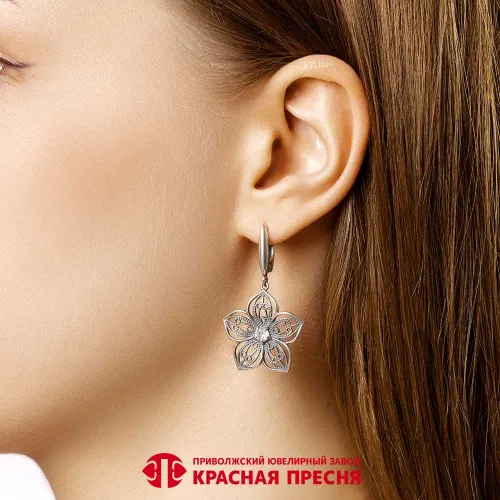 33817522_серьги