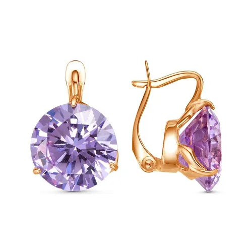 3381638р6_серьги