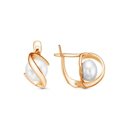 3331557_серьги