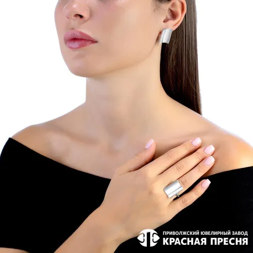 33013902_серьги