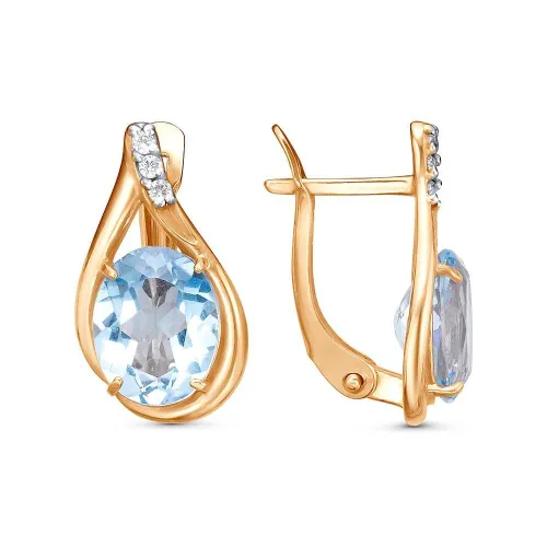 33112753дтг_серьги