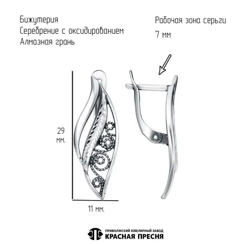 34017086-5_серьги