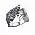 c64217b8-dad4-11ee-ac91-3cecef60cf21_8196b4ef-5ef6-11ef-ac93-3cecef60cf21