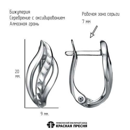 34016818-5_серьги