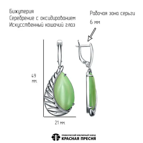 34316100у_серьги