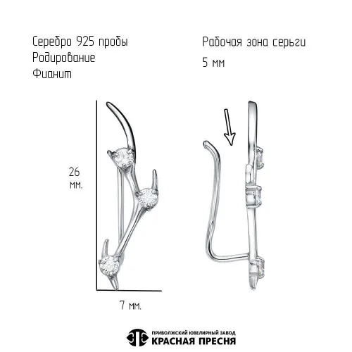 33817476д_серьги