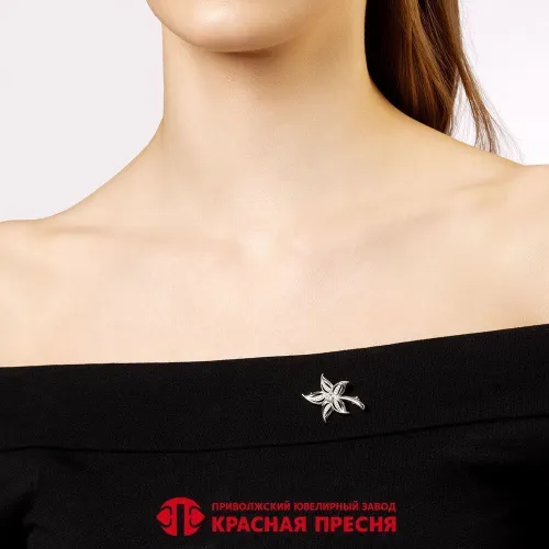 13817352д_брошь