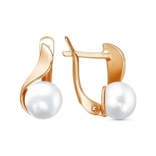 33313475_серьги