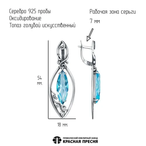 33616592-3_серьги