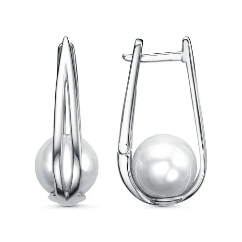 34617474плк_серьги