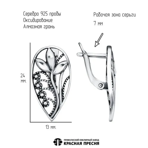 33016166-5_серьги