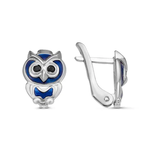 33811848-1_серьги