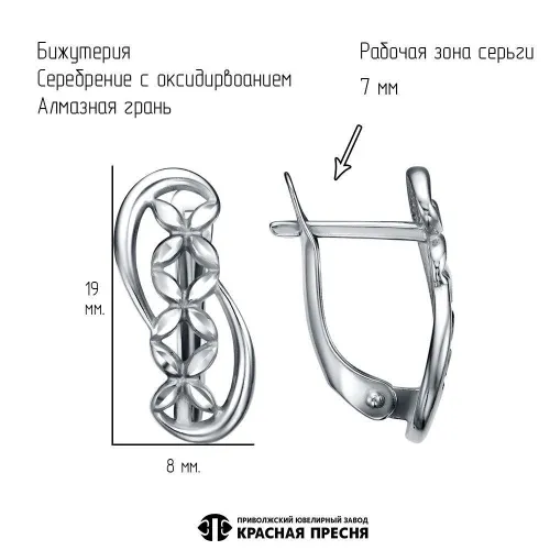 34016894-5_серьги