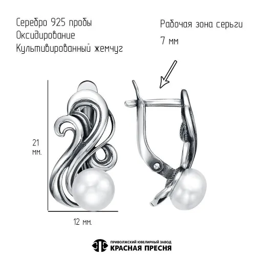 33316876_серьги