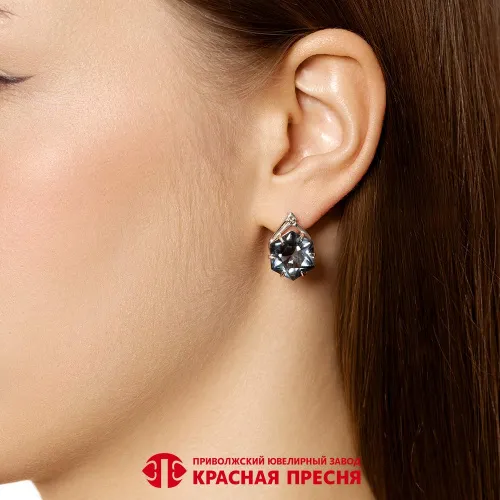 34817534плсо_серьги