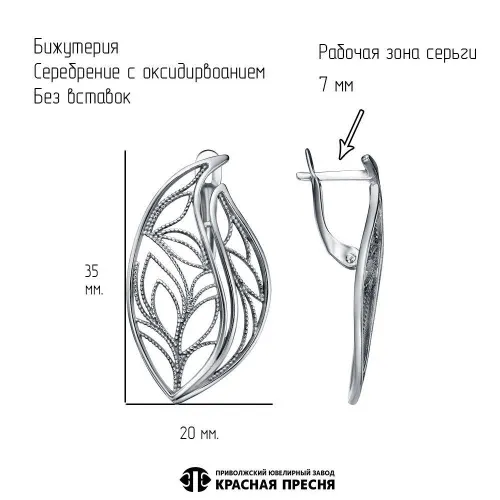 34016504_серьги