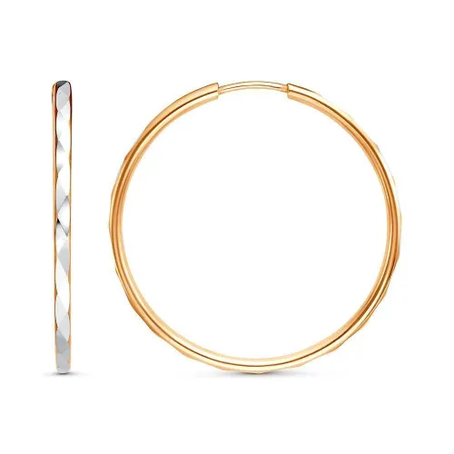 3301607-1_серьги