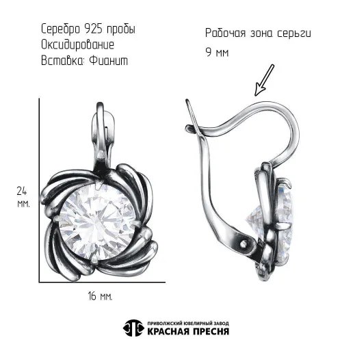 33816110_серьги
