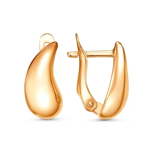 34017193_серьги