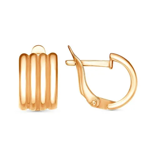 34017191_серьги