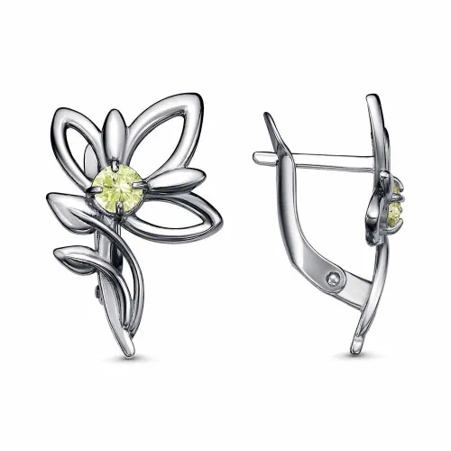 34815970-9_серьги