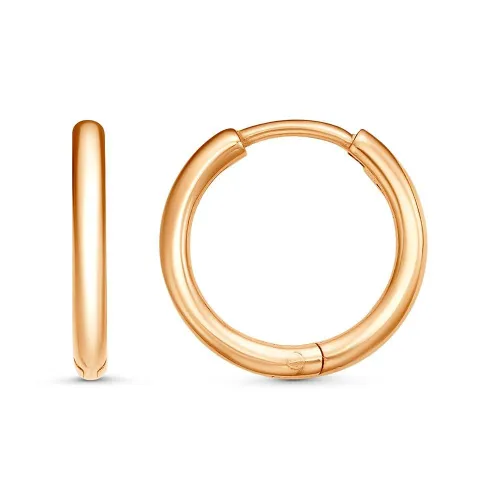 33017093_серьги