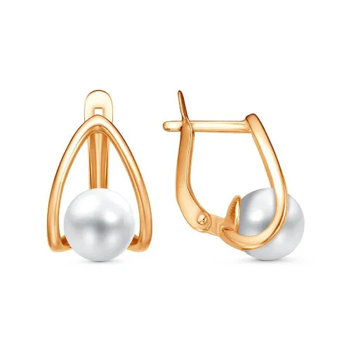 33617433_серьги