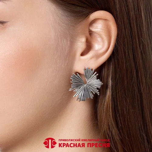 33016658_серьги