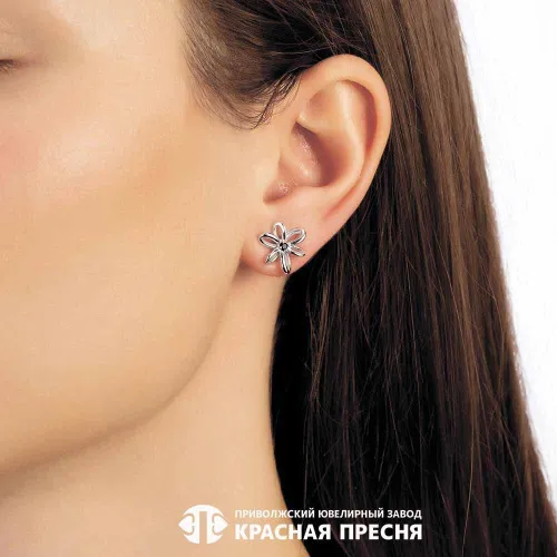 33814302пл1_серьги