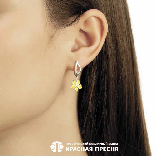 33013896б17_серьги