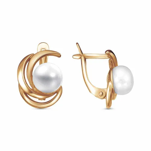 3337167_серьги