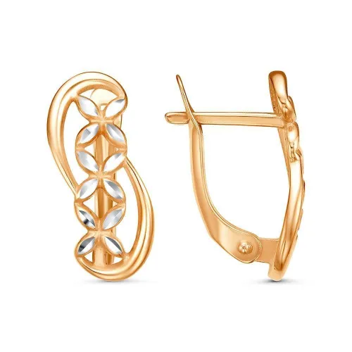 34016895-5_серьги