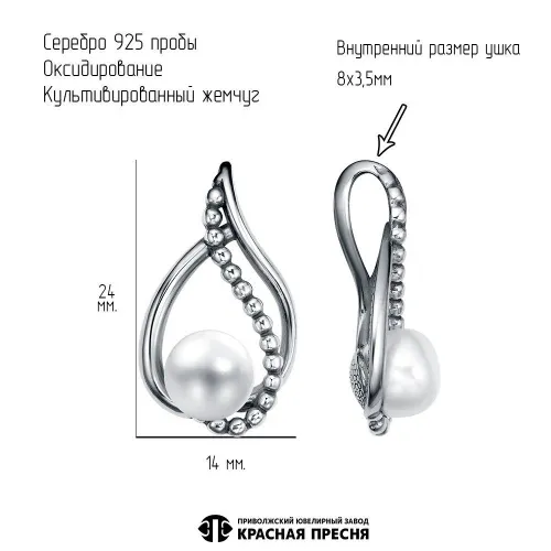 53316852_подвеска