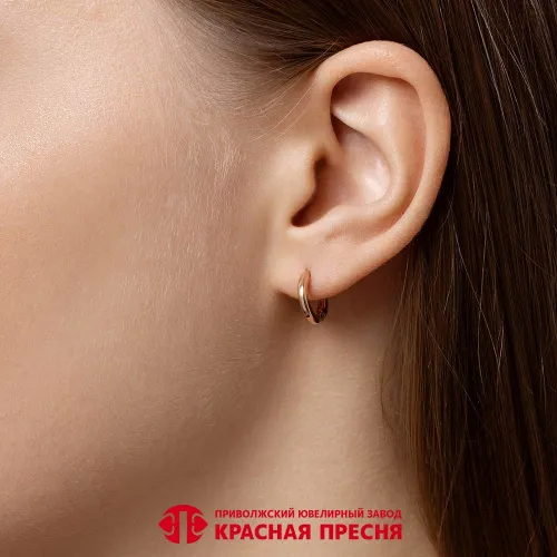 33017029_серьги