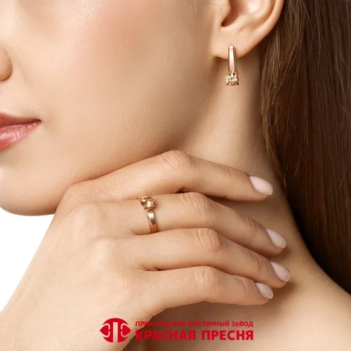 33817271-11_серьги