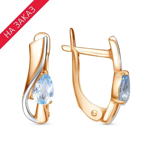 33113729дтг_серьги