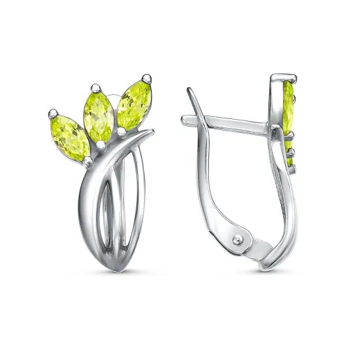 33817230д10_серьги