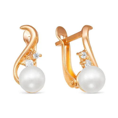 3489457к_серьги