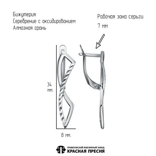 34017372-5_серьги