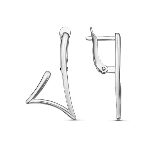 34012024_серьги