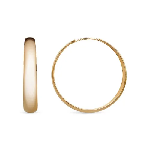 33011785_серьги