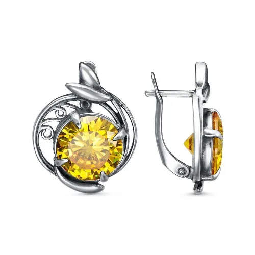 34817366-4_серьги