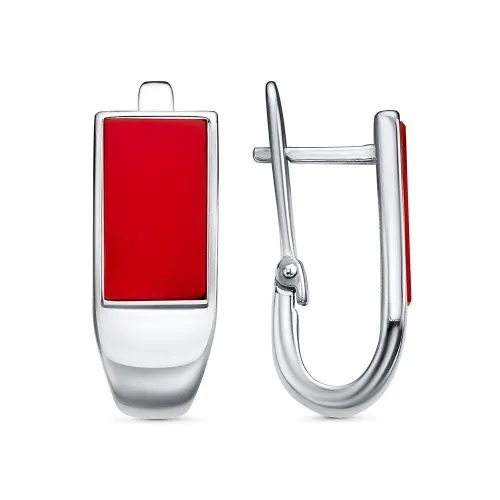 34317122плк_серьги