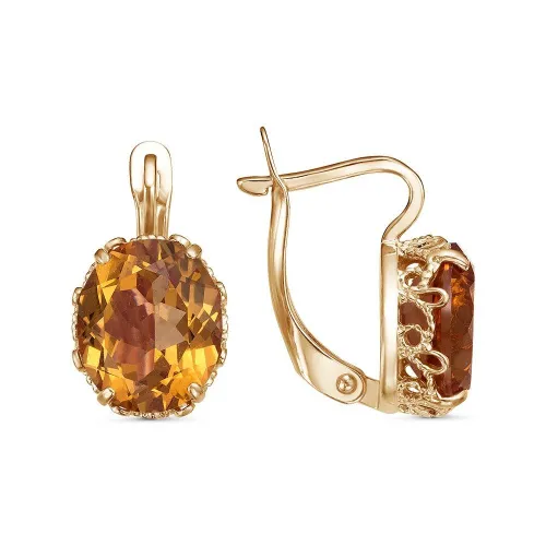 33812371-22_серьги