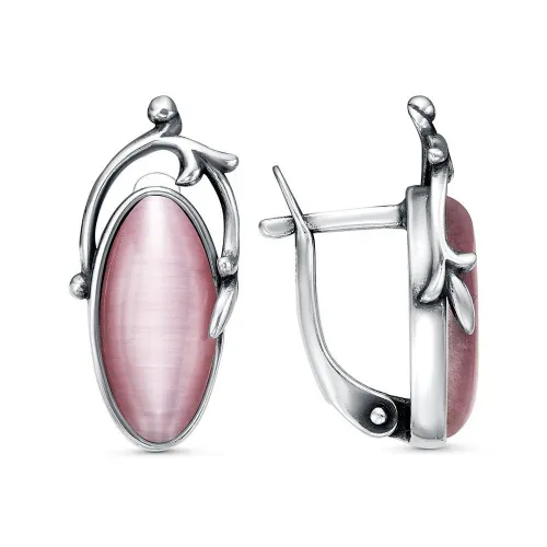 33616938-6_серьги