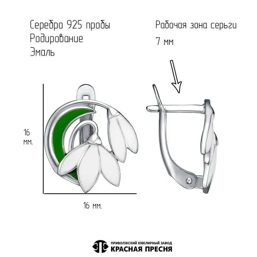 33016548д_серьги
