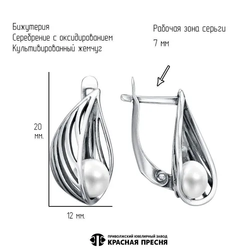 34316892к_серьги