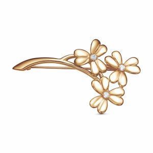 7eb9cf70-f5aa-11ee-ac91-3cecef60cf21_38c8c4ab-6c14-11ef-ac93-3cecef60cf21