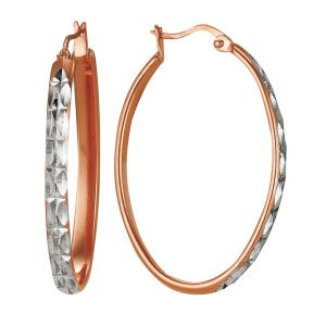 d3eae64e-ca2b-11e0-a62e-0030482d5029_b1638198-aa41-11e1-9b63-001517b7f78c