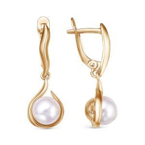 280760cf-6b79-11eb-9b02-001517b7f78c_2dfda64b-8ae4-11eb-a910-001517b7f78c